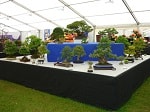 AFS 2016 17.JPG
